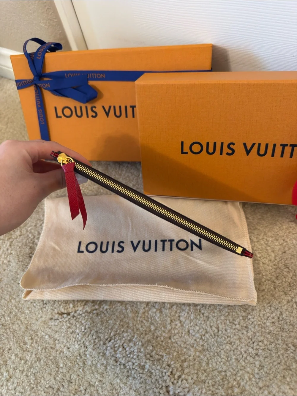 Louis Vuitton Pochelle Felicie Zipped Insert in Brown Damier Ebene